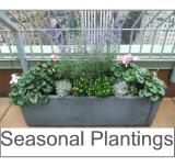 Seasonal Plantings